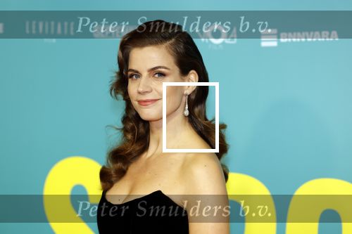 Amsterdam 31 oktober 2022
Premiere Stromboli in Tuschinski.
Elise Schaap