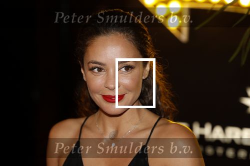 Amsterdam 5 november 2022
Premiere Hans Klok bij the Harbour Club in Amsterdam. Fajah Lourens