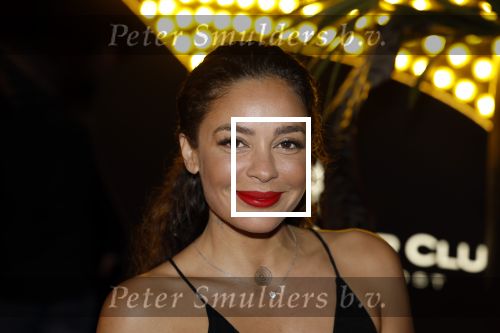 Amsterdam 5 november 2022
Premiere Hans Klok bij the Harbour Club in Amsterdam. Fajah Lourens