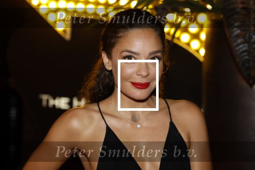 Amsterdam 5 november 2022
Premiere Hans Klok bij the Harbour Club in Amsterdam. Fajah Lourens