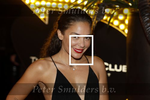 Amsterdam 5 november 2022
Premiere Hans Klok bij the Harbour Club in Amsterdam. Fajah Lourens