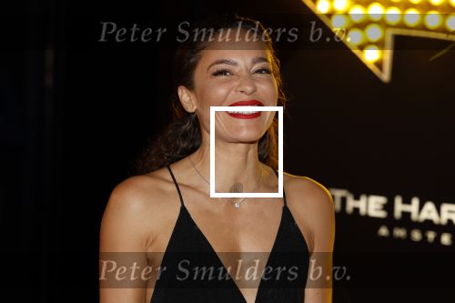 Amsterdam 5 november 2022
Premiere Hans Klok bij the Harbour Club in Amsterdam. Fajah Lourens