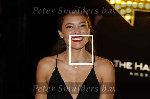 Amsterdam 5 november 2022
Premiere Hans Klok bij the Harbour Club in Amsterdam. Fajah Lourens