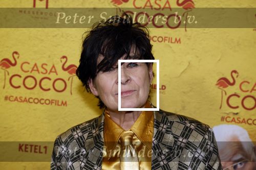 Rotterdam 7 november 2022
Premiere Casa Coco met oa Gerard Cox Joke Bruijs Loes Luca Katja Schuurman Frederique Spigt Bruni Heinke Oscar Aerts Chris Tates Richard Groenendijk en Pamela Teves.