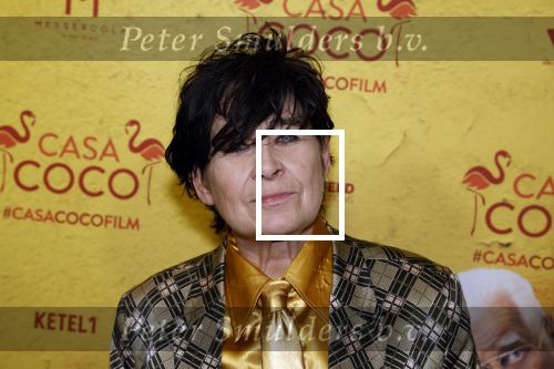Rotterdam 7 november 2022
Premiere Casa Coco met oa Gerard Cox Joke Bruijs Loes Luca Katja Schuurman Frederique Spigt Bruni Heinke Oscar Aerts Chris Tates Richard Groenendijk en Pamela Teves.