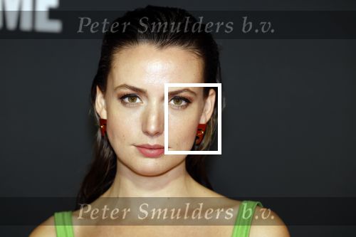 Amsterdam 3 november 2022
Rode loper ivm met nieuwe streamingsdienst Sky showtime bij westergasfabriek. Gaite Jansen