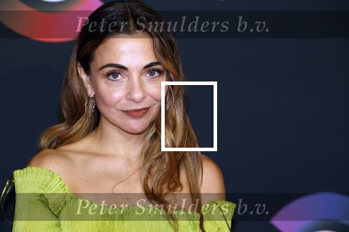 Amsterdam 3 november 2022
Rode loper ivm met nieuwe streamingsdienst Sky showtime bij westergasfabriek. Georgina Verbaan