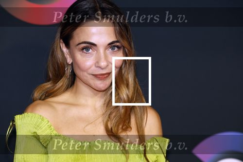 Amsterdam 3 november 2022
Rode loper ivm met nieuwe streamingsdienst Sky showtime bij westergasfabriek. Georgina Verbaan