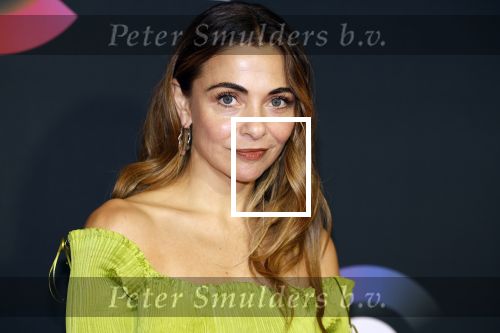 Amsterdam 3 november 2022
Rode loper ivm met nieuwe streamingsdienst Sky showtime bij westergasfabriek. Georgina Verbaan