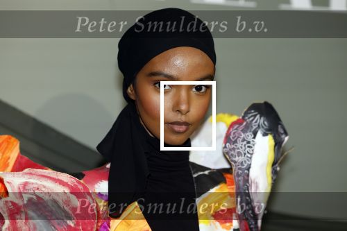 Amsterdam 14 november 2022
Gala van Harpers Bazaar in Amsterdam centrum.