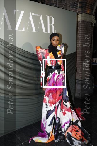 Amsterdam 14 november 2022
Gala van Harpers Bazaar in Amsterdam centrum.