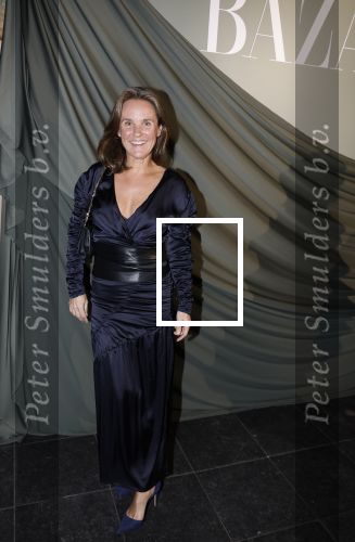 Amsterdam 14 november 2022
Gala van Harpers Bazaar in Amsterdam centrum.