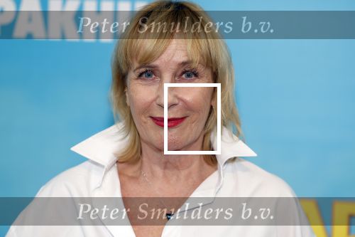 Zaandam 30 oktober 2022
Premiere zo vader zo zoon van Jon v Eerd in het zaantheater. Inge Ipenburg en Paul Groot