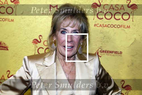 Rotterdam 7 november 2022
Premiere Casa Coco met oa Gerard Cox Joke Bruijs Loes Luca Katja Schuurman Frederique Spigt Bruni Heinke Oscar Aerts Chris Tates Richard Groenendijk en Pamela Teves.