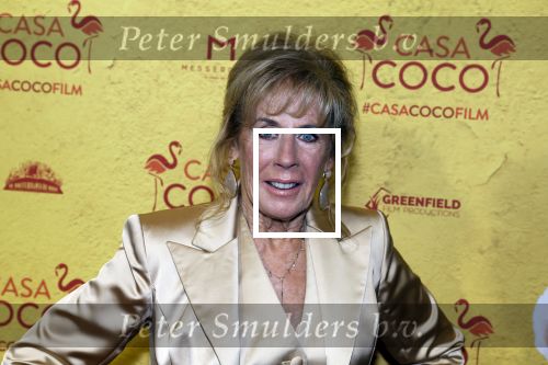 Rotterdam 7 november 2022
Premiere Casa Coco met oa Gerard Cox Joke Bruijs Loes Luca Katja Schuurman Frederique Spigt Bruni Heinke Oscar Aerts Chris Tates Richard Groenendijk en Pamela Teves.