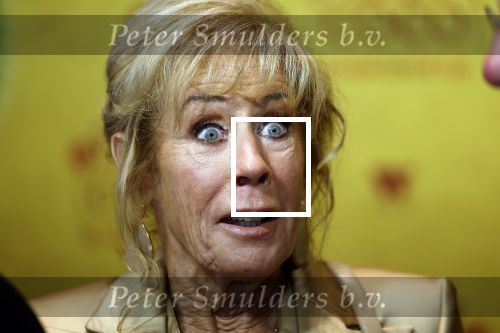 Rotterdam 7 november 2022
Premiere Casa Coco met oa Gerard Cox Joke Bruijs Loes Luca Katja Schuurman Frederique Spigt Bruni Heinke Oscar Aerts Chris Tates Richard Groenendijk en Pamela Teves.
