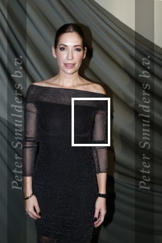 Amsterdam 14 november 2022
Gala van Harpers Bazaar in Amsterdam centrum.
Jose Woldring