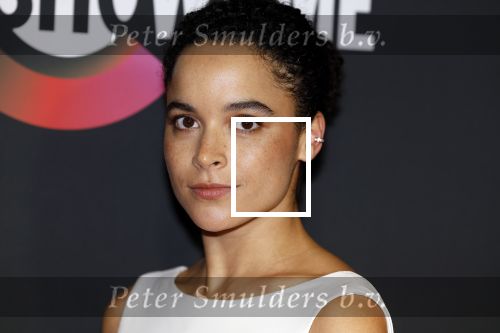 Amsterdam 3 november 2022
Rode loper ivm met nieuwe streamingsdienst Sky showtime bij westergasfabriek. Juliana Canfield