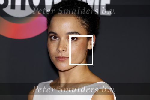Amsterdam 3 november 2022
Rode loper ivm met nieuwe streamingsdienst Sky showtime bij westergasfabriek. Juliana Canfield