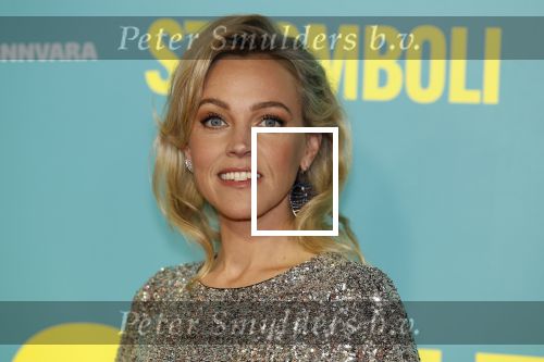 Amsterdam 31 oktober 2022
Premiere Stromboli in Tuschinski.
Loes haverkort