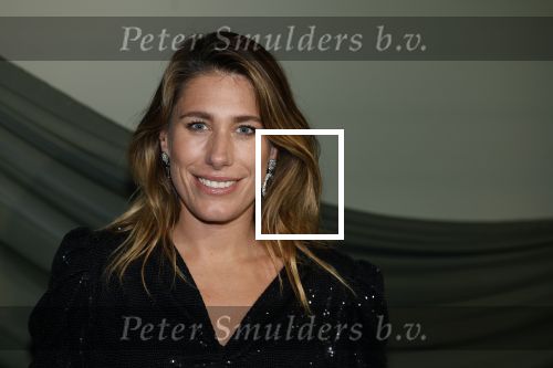 Amsterdam 14 november 2022
Gala van Harpers Bazaar in Amsterdam centrum.
Malou Petter
