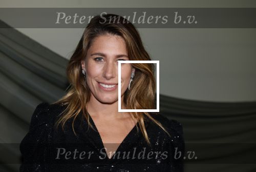 Amsterdam 14 november 2022
Gala van Harpers Bazaar in Amsterdam centrum.
Malou Petter