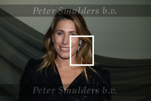Amsterdam 14 november 2022
Gala van Harpers Bazaar in Amsterdam centrum.
Malou Petter