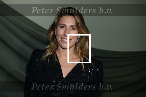 Amsterdam 14 november 2022
Gala van Harpers Bazaar in Amsterdam centrum.
Malou Petter