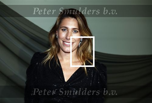 Amsterdam 14 november 2022
Gala van Harpers Bazaar in Amsterdam centrum.
Malou Petter