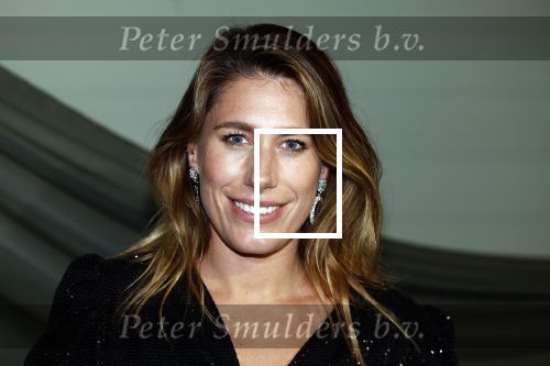 Amsterdam 14 november 2022
Gala van Harpers Bazaar in Amsterdam centrum.
Malou Petter