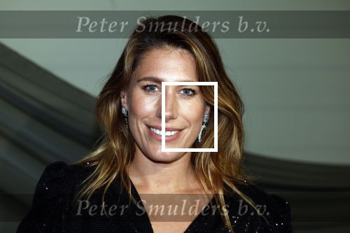 Amsterdam 14 november 2022
Gala van Harpers Bazaar in Amsterdam centrum.
Malou Petter