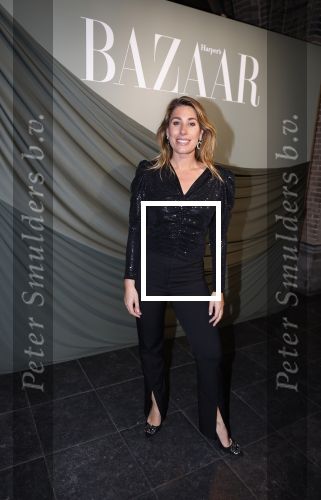 Amsterdam 14 november 2022
Gala van Harpers Bazaar in Amsterdam centrum.
Malou Petter