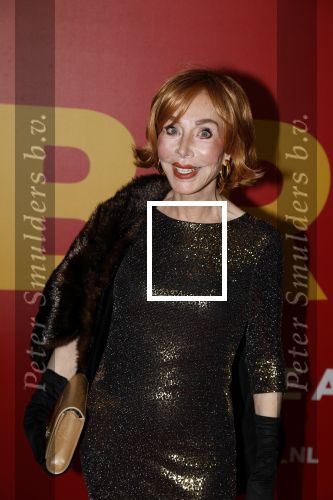Amsterdam 23 oktober 2022
Premiere film BROS in Tuschinski. 
Marijke Helwegen