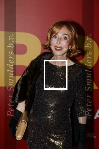 Amsterdam 23 oktober 2022
Premiere film BROS in Tuschinski. 
Marijke Helwegen