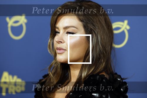 Amsterdam 6 oktober 2022
Uitreiking televizierring 2022 in carre .
Miljuschka Witzenhausen kwam met partner