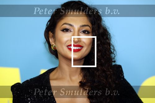 Amsterdam 31 oktober 2022
Premiere Stromboli in Tuschinski.
Neerja Naik
