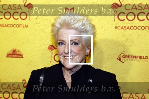 Rotterdam 7 november 2022
Premiere Casa Coco met oa Gerard Cox Joke Bruijs Loes Luca Katja Schuurman Frederique Spigt Bruni Heinke Oscar Aerts Chris Tates Richard Groenendijk en Pamela Teves.