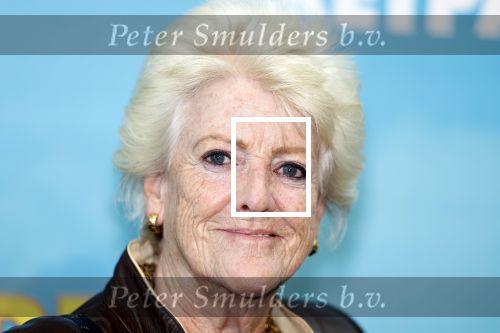 Zaandam 30 oktober 2022
Premiere zo vader zo zoon van Jon v Eerd in het zaantheater. Pamela Teves