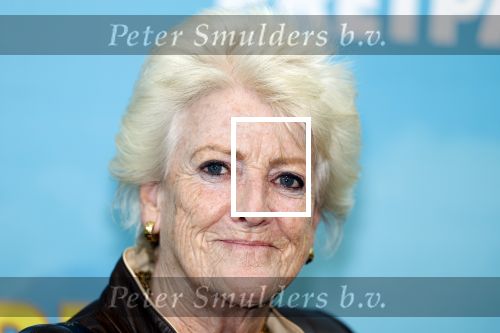 Zaandam 30 oktober 2022
Premiere zo vader zo zoon van Jon v Eerd in het zaantheater. Pamela Teves