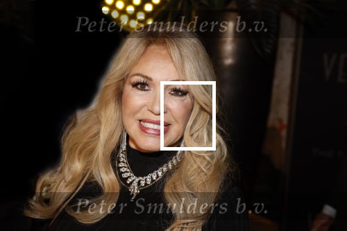 Amsterdam 5 november 2022
Premiere Hans Klok bij the Harbour Club in Amsterdam. Patricia Paay kwam met haar man Robert Hinfelaar