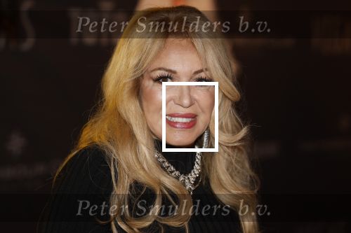 Amsterdam 5 november 2022
Premiere Hans Klok bij the Harbour Club in Amsterdam. Patricia Paay kwam met haar man Robert Hinfelaar
