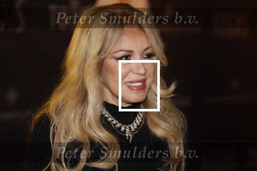 Amsterdam 5 november 2022
Premiere Hans Klok bij the Harbour Club in Amsterdam. Patricia Paay kwam met haar man Robert Hinfelaar