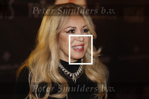 Amsterdam 5 november 2022
Premiere Hans Klok bij the Harbour Club in Amsterdam. Patricia Paay kwam met haar man Robert Hinfelaar
