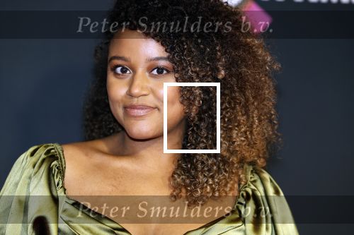 Amsterdam 3 november 2022
Rode loper ivm met nieuwe streamingsdienst Sky showtime bij westergasfabriek. Quinty Misiedjan