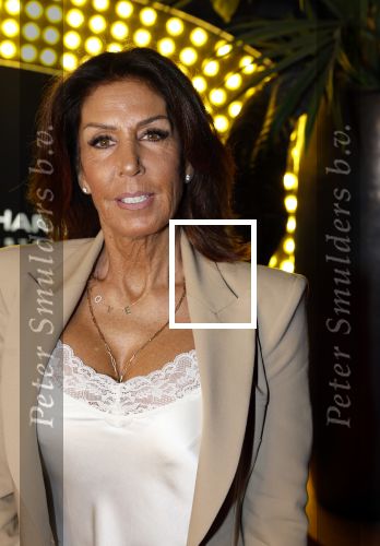 Amsterdam 5 november 2022
Premiere Hans Klok bij the Harbour Club in Amsterdam. Rachel Hazes