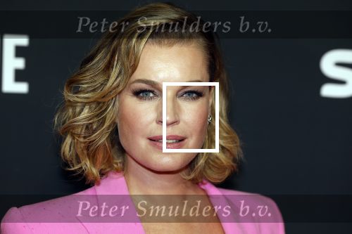 Amsterdam 3 november 2022
Rode loper ivm met nieuwe streamingsdienst Sky showtime bij westergasfabriek.
Rebecca Romijn