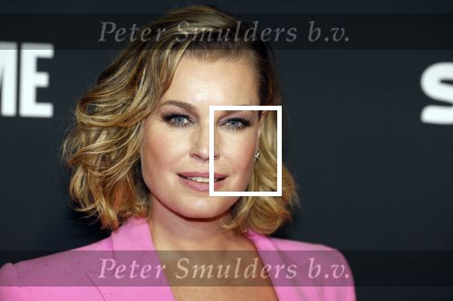 Amsterdam 3 november 2022
Rode loper ivm met nieuwe streamingsdienst Sky showtime bij westergasfabriek.
Rebecca Romijn