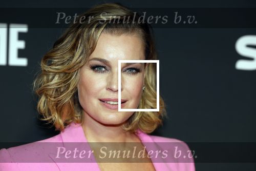 Amsterdam 3 november 2022
Rode loper ivm met nieuwe streamingsdienst Sky showtime bij westergasfabriek.
Rebecca Romijn