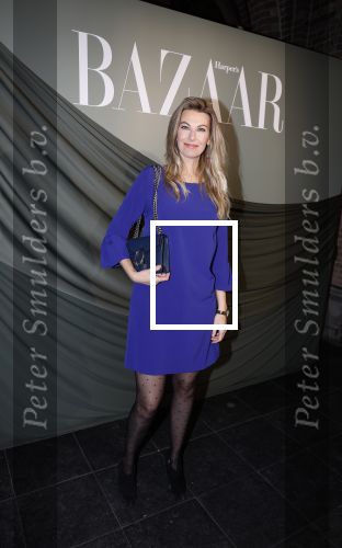 Amsterdam 14 november 2022
Gala van Harpers Bazaar in Amsterdam centrum.
Susan Smit