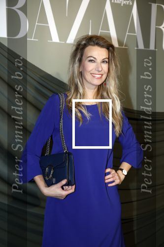 Amsterdam 14 november 2022
Gala van Harpers Bazaar in Amsterdam centrum.
Susan Smit